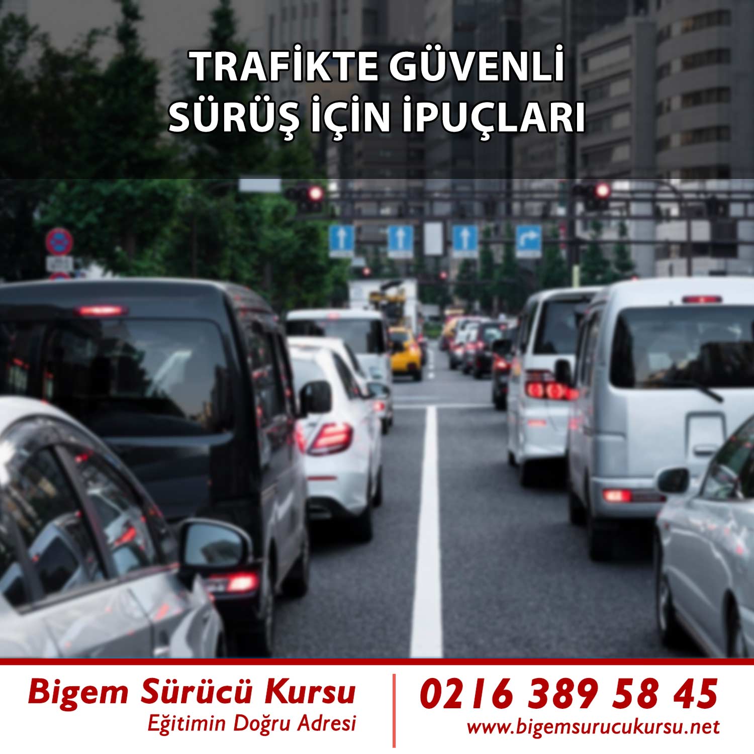 IMG-NEWS